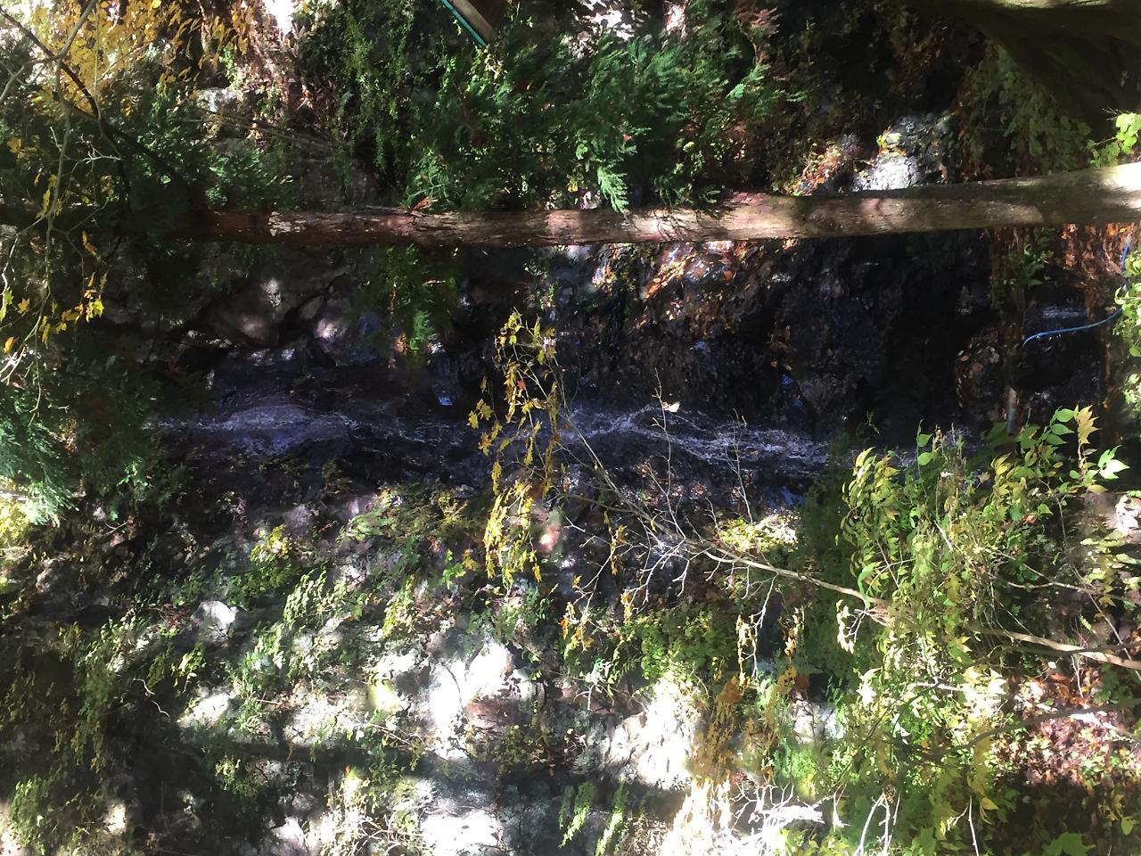 Tokiwa Ryokan นิกโก ภายนอก รูปภาพ